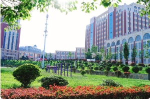 云南城市建设职业学院历年分数线是多少？