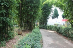 云南省文山农业学校怎么样|好不好？