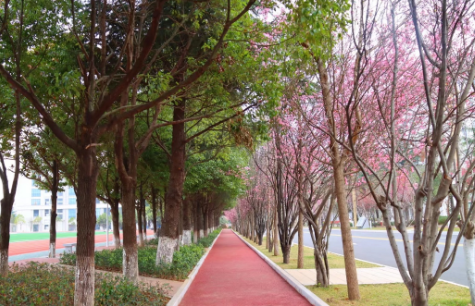 曲靖职业技术学院2024年报名条件有些什么?