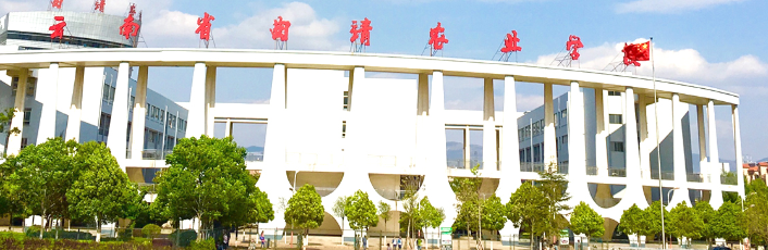 云南省曲靖农业学校管理乱不乱?