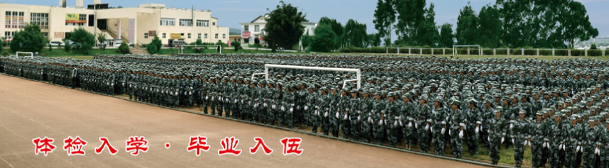 2024年楚雄五年制大专排名前十的名单