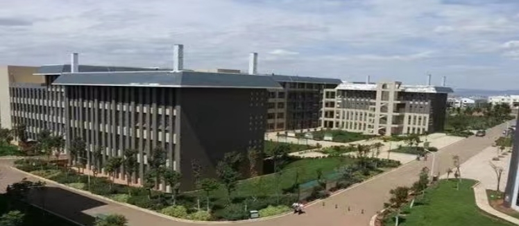 云南城市建设职业学院五年制大专2024年有哪些专业|报名条件|就业率