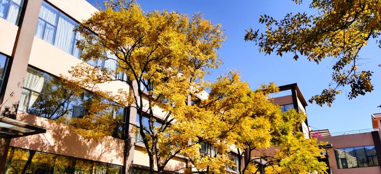 云南外事外语职业学院是公办还是民办|怎么报名