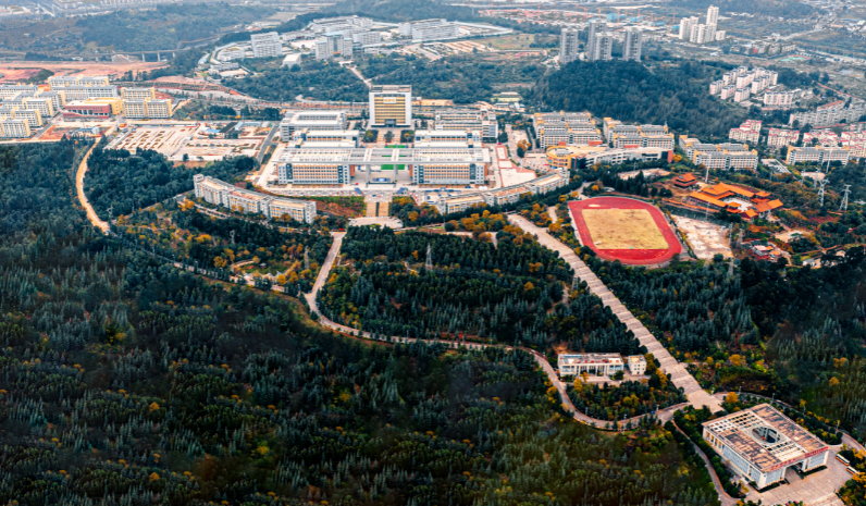 云南省2024年中专读哪个专业最好?