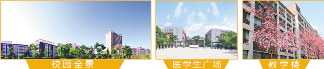 镇雄2024年中专学校排名前十（公办）