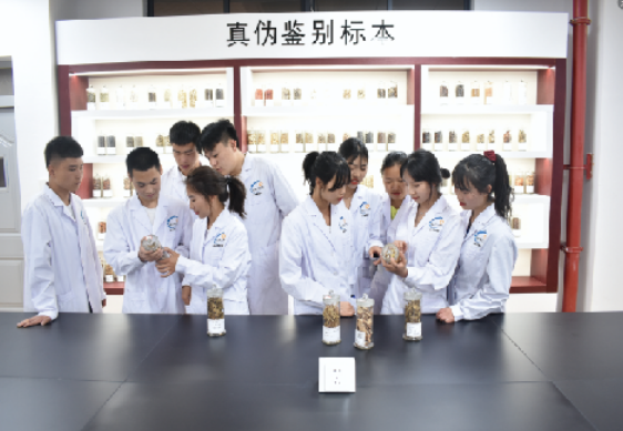 2024年云南新兴职业学院报名入口