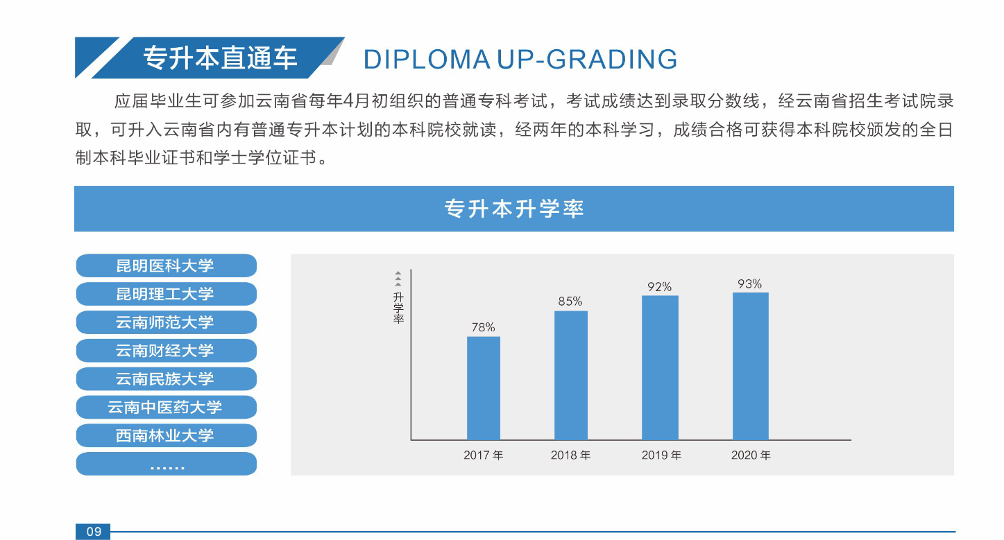 2025 年云南外事外语职业学院录取分数线详解：为梦想导航