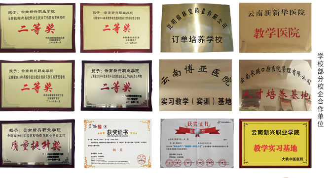 云南新兴职业学院招生办：开启梦想学府的关键指引