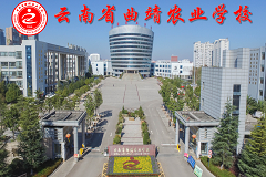 走进有序的云南省曲靖农业学校，打破 “乱” 的误解
