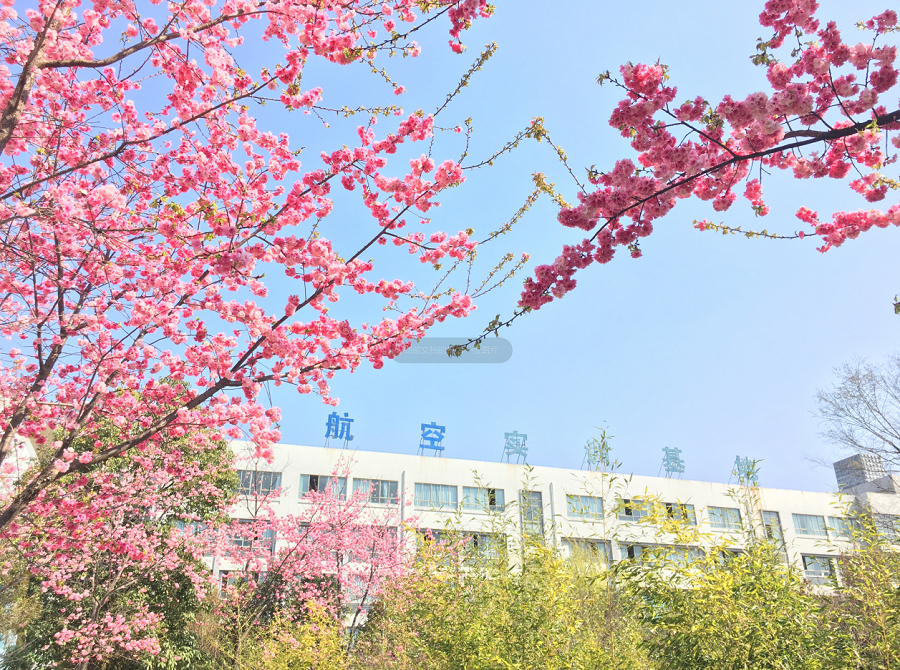 2025 年曲靖农业学校综合高考班