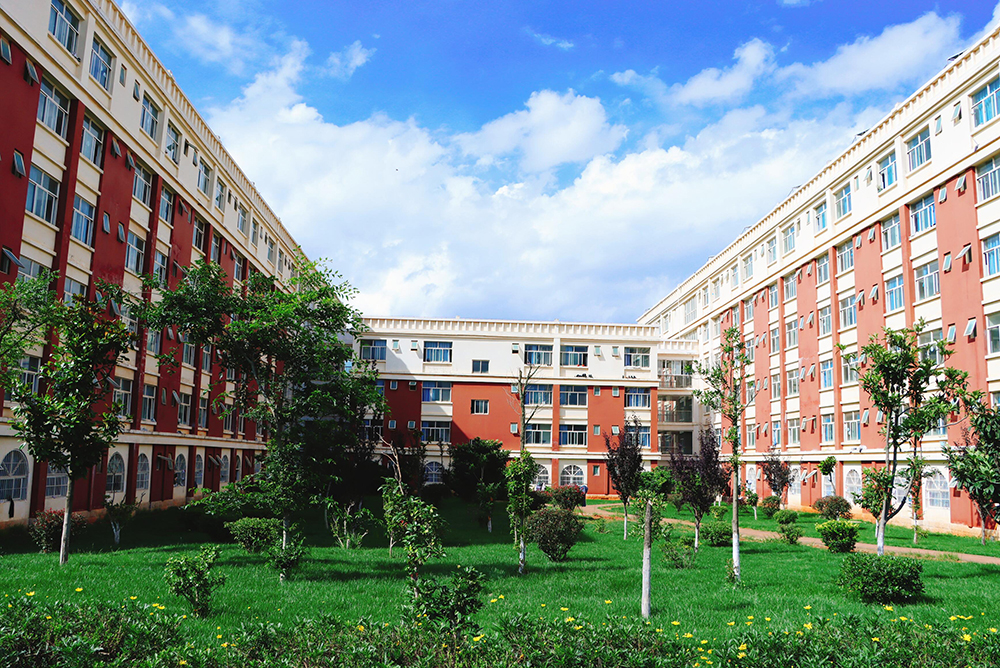 2025年云南外事外语职业学校升学渠道有哪些？