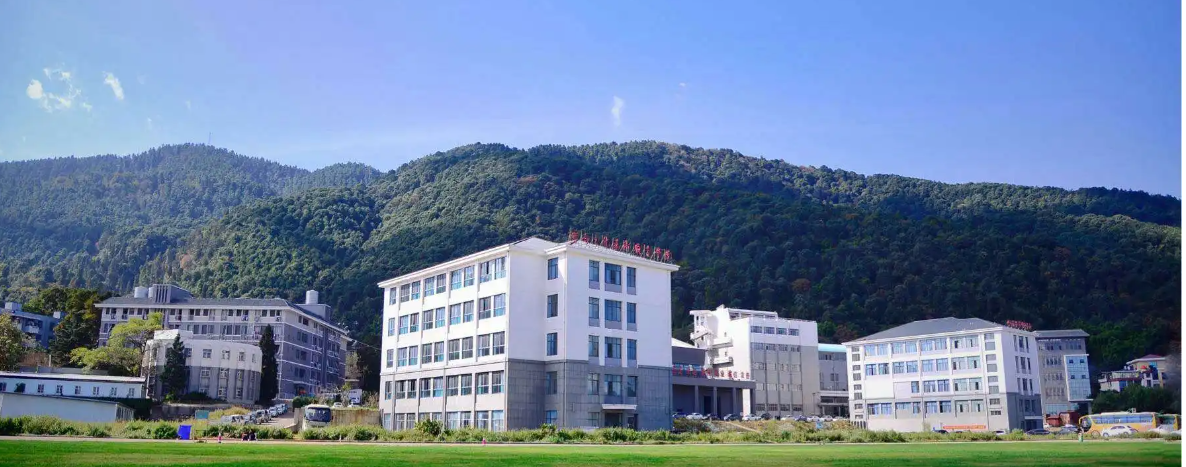 昆明艺术职业学院三校生班：艺术梦想的腾飞摇篮