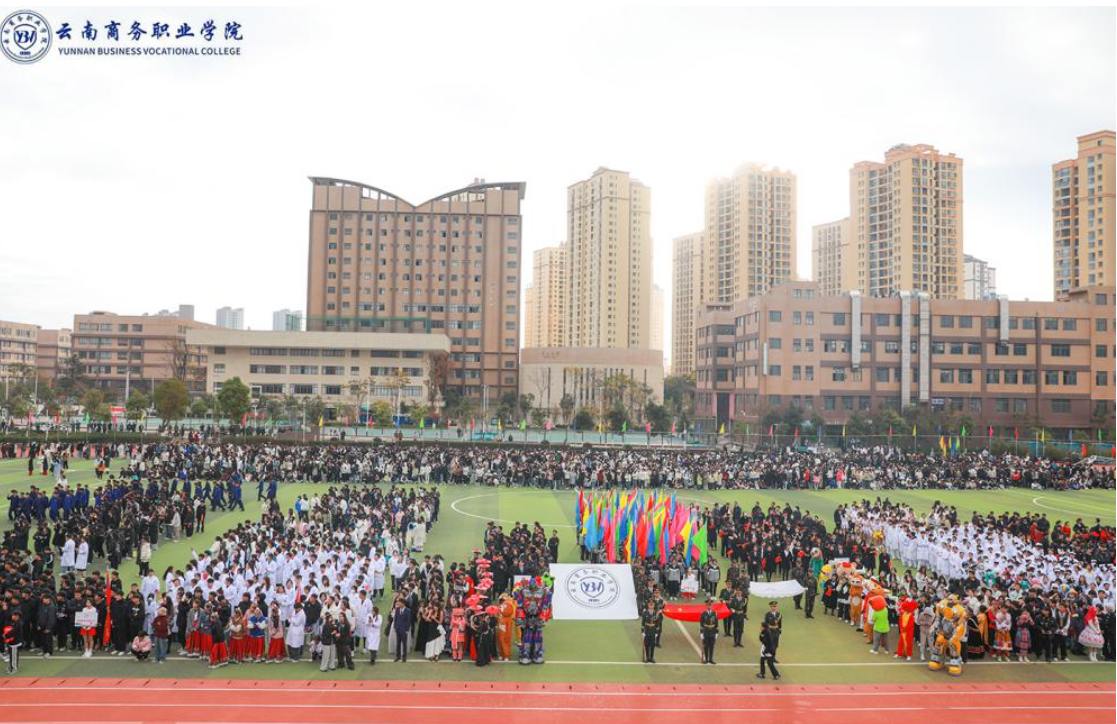云南商务职业学院 2025 年录取分数线解析：升学路径与报考指南