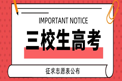曲靖靖宁职业技术学校三校生专业大盘点：多元选择，成就未来