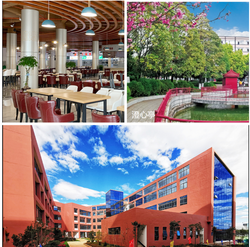 云南理工职业学院 2025 报读全攻略：初中 / 高中起点，5 步锁定学位！（附避坑指南）