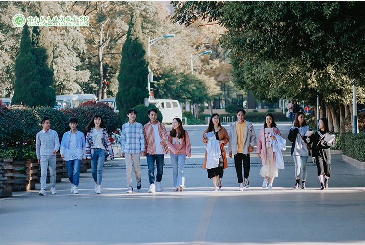 2025 云南医药健康职业学院五年制大专专业全解析｜初中起点，12 个医学专业直通健康职场