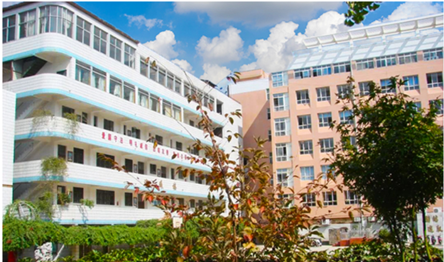云南旅游职业学院综合评价：文旅特色鲜明，就业升学双优的高职院校