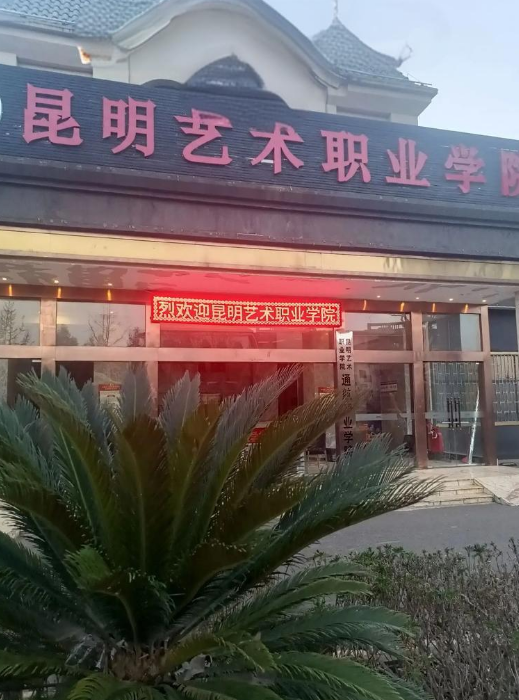 2025年昆明艺术职业学院三年制中专招生计划：多元路径，成就艺术梦想