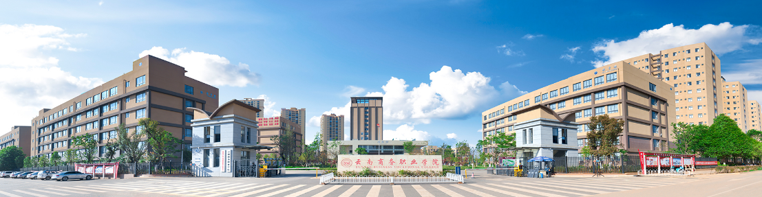 云南商务职业学院三年制中专教学质量：精心培育，成果斐然