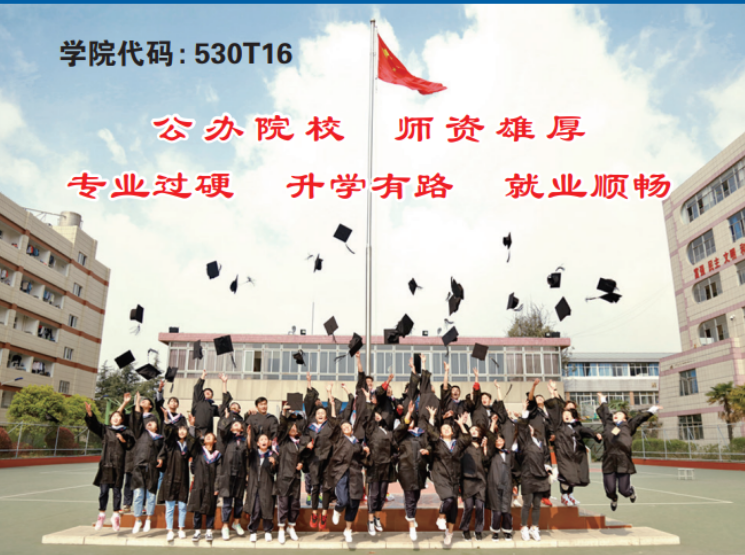 昆明技师学院是公办还是民办？权威解析助力升学决策