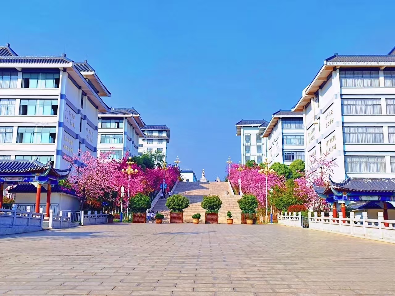 制度为基、人文为魂&mdash;昆明市卫生学校管理模式构建与综合评价