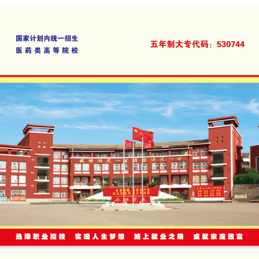 性价比与资助双保障：云南新兴职业学院学费全解析