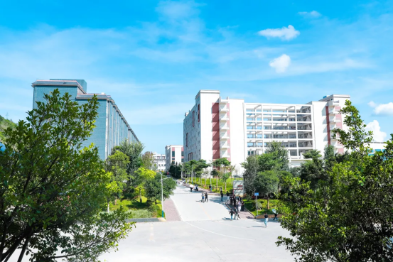 云南三鑫职业技术学院是公办还是民办？学院办学属性详细解析