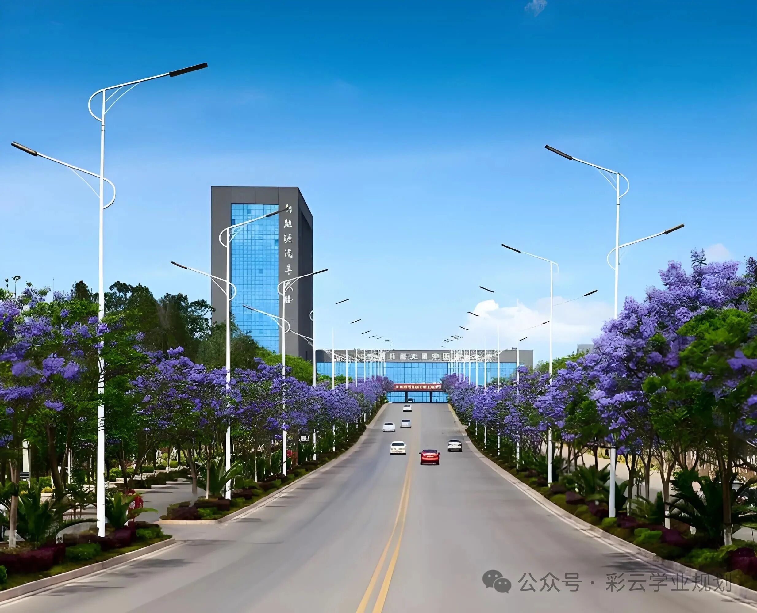 云南交通技师学院2026管理模式全解析