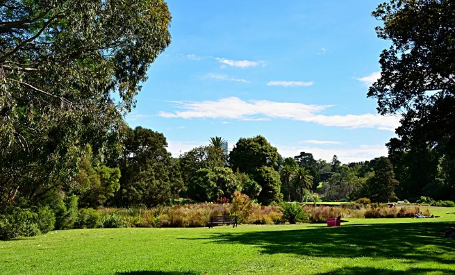 景14.jpg