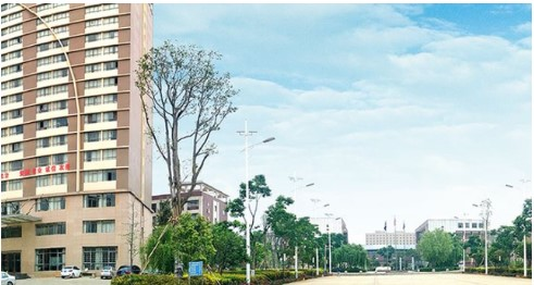 图片1(167).png