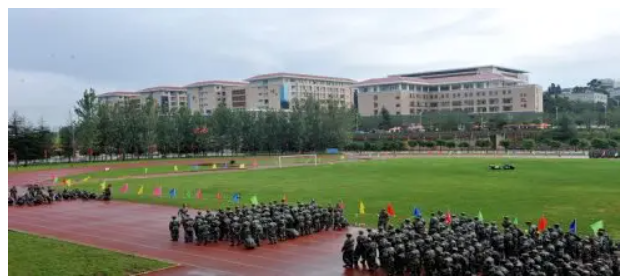 图片1(87).png