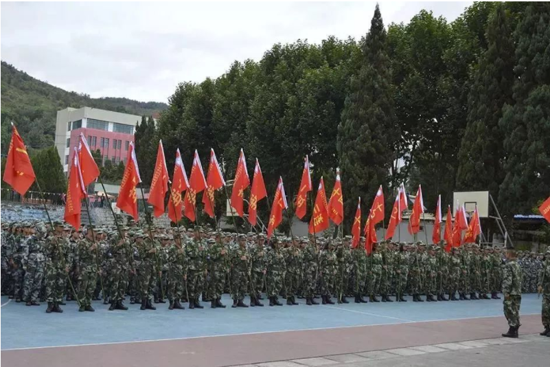 图片1(236).png