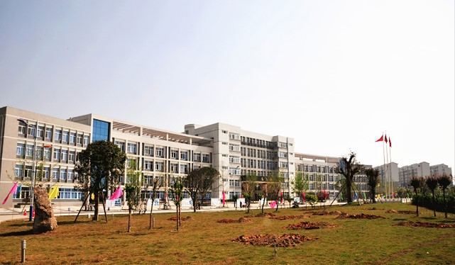 图片1(297).png