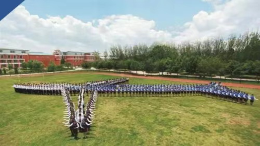 图片2(13).png