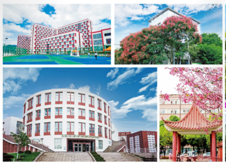 图片33 (2).png