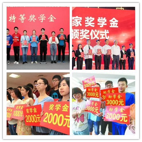 图片1(294).png