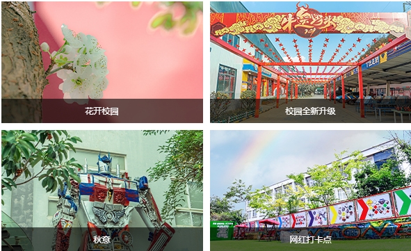 微信截图_20240520164455.png