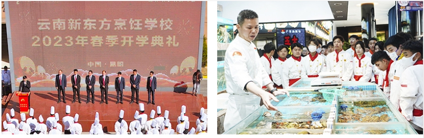 微信截图_20240521154441.png