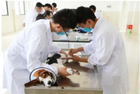 微信截图_20240524174041.png