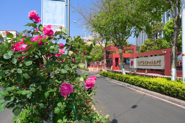 微信截图_20240530170857.png
