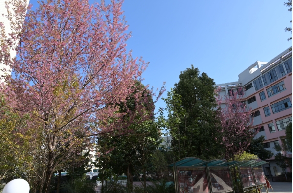 微信截图_20240530171201.png