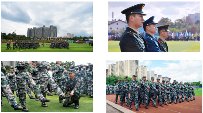 图片44 (2).png