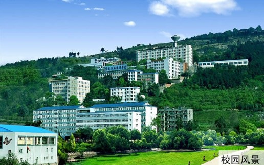 图片1(314).png