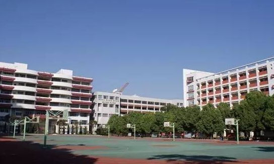 微信截图_20240604163119.png