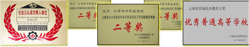 3.PNG