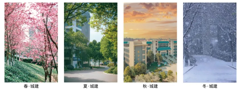 微信截图_20240612094630.png