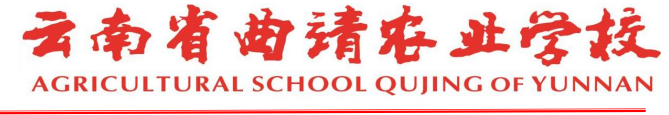 简介零零.png