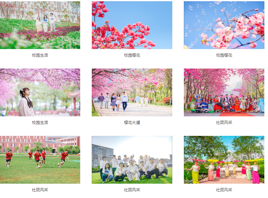 a1b73981ef22bda69b6e12112860853.png