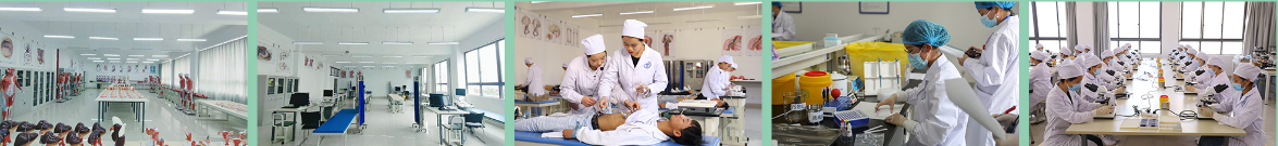 医学.PNG