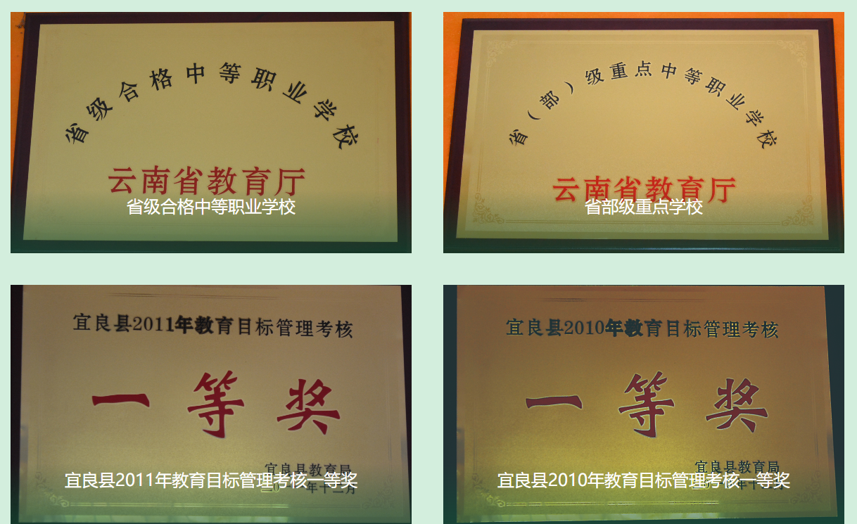 1743408934961529.png a67ece35fa72ba00a21e37af13b6a56.png